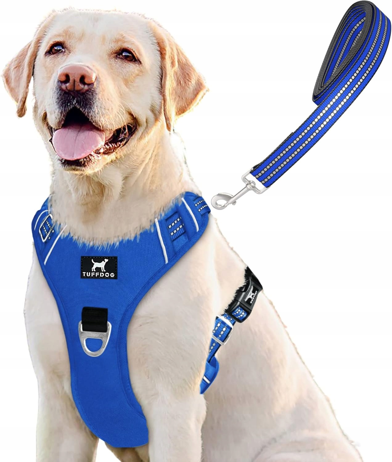 Szelki i smycz dla psa rozmiar S