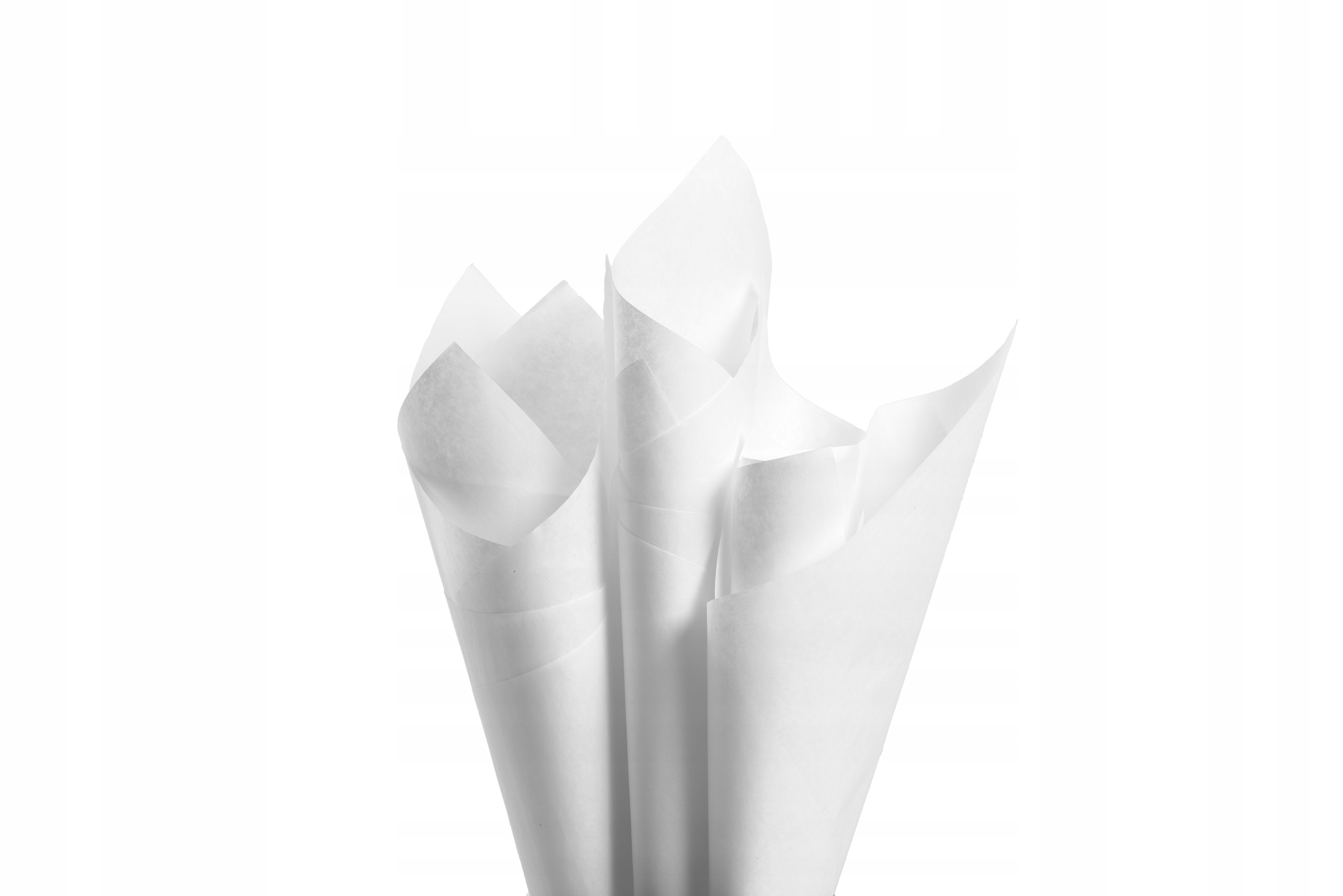 Biała bibuła gładka do pakowania 38x50cm EAN (GTIN) 5906583081007