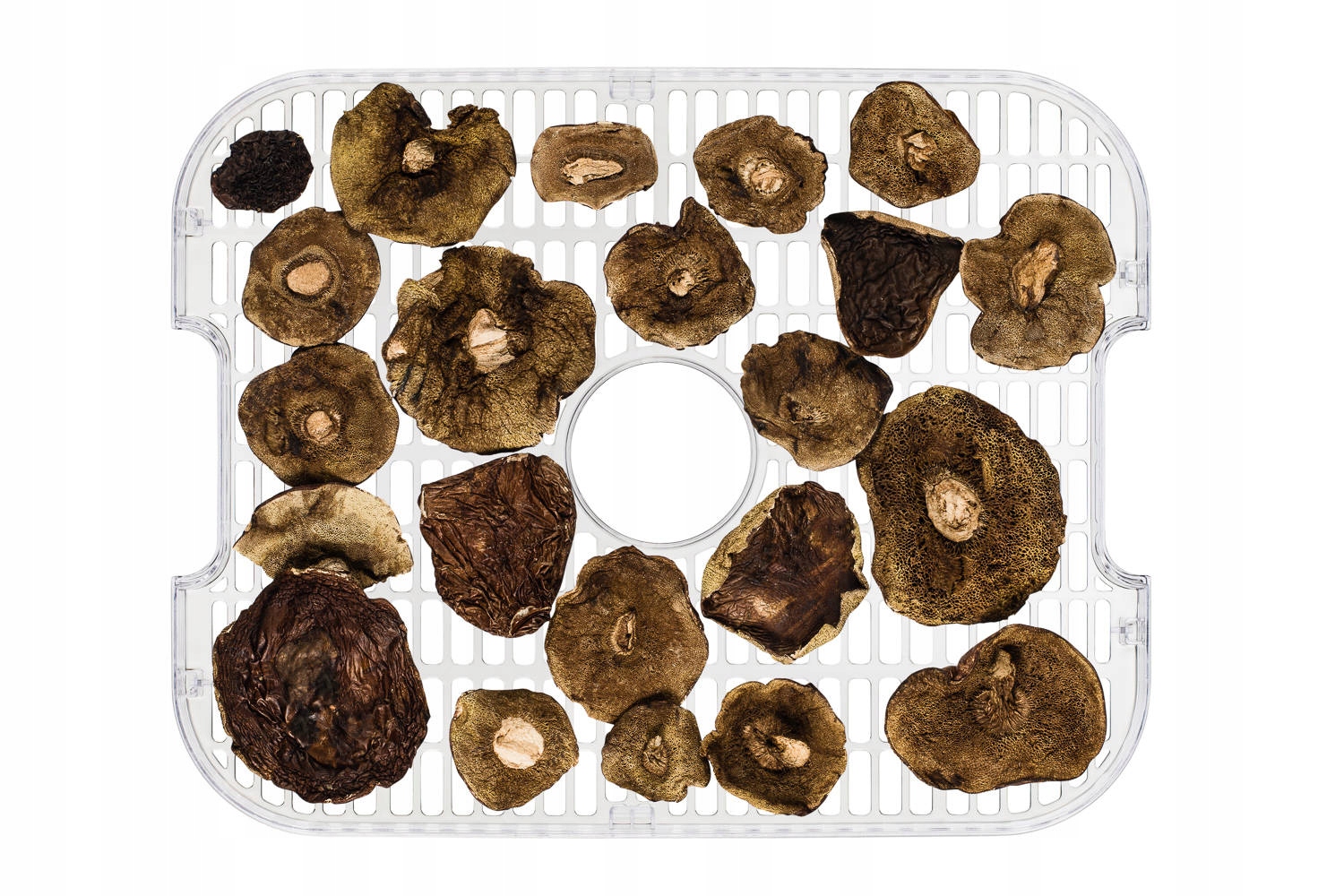 Suszarka spożywcza do GRZYBÓW WARZYW OWOCÓW MIĘSA INOX TERMOOBIEG 400W Kolor dominujący srebrny/szary