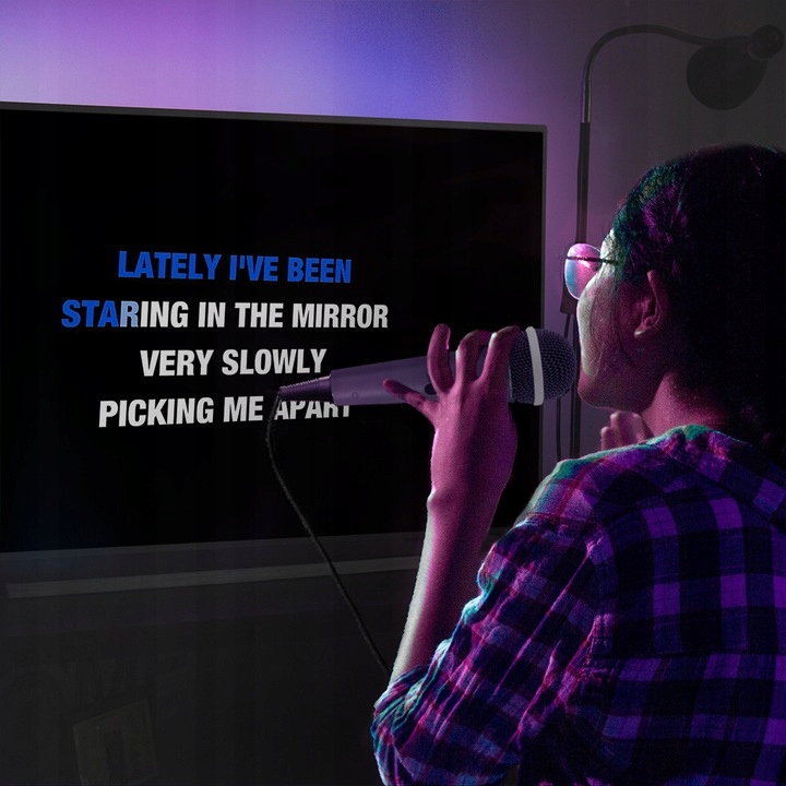 Głośnik KARAOKE bluetooth LED RCA AUX CD+G/2 MIC Zasilanie akumulatorowe