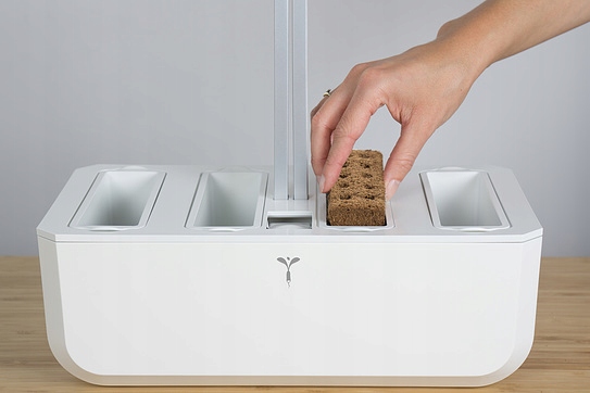 Veritable Classic Kod producenta 3760262513164