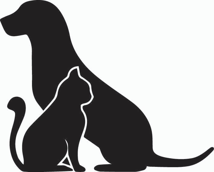 

Naklejka na auto samochód Pies I Kot 12cm