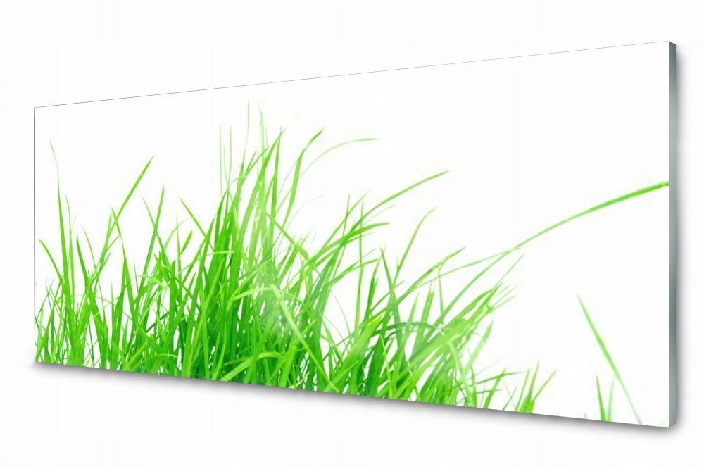 

Panel szklany do kuchni Dekor Trawa 125x50