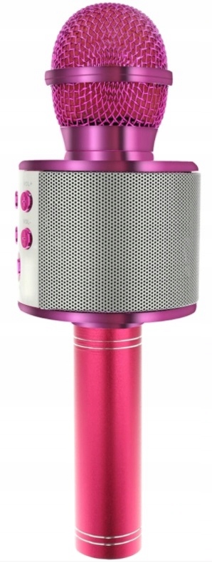 MIKROFON BEZPRZEWODOWY Bluetooth KARAOKE GŁOŚNIK Model WS858