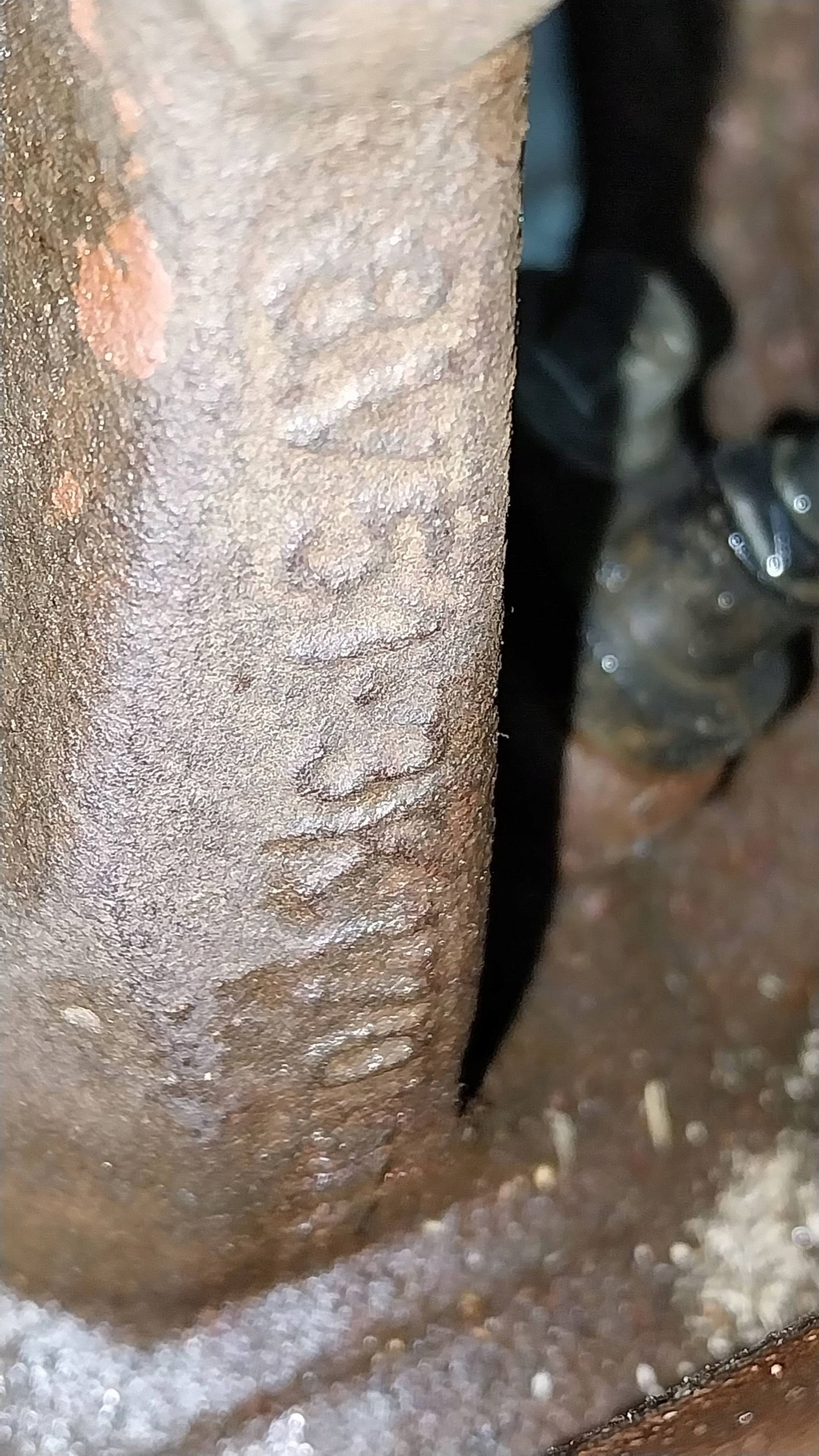 swing right front 8V51-3K170-AF/BE FORD FIESTA MK6 MK7