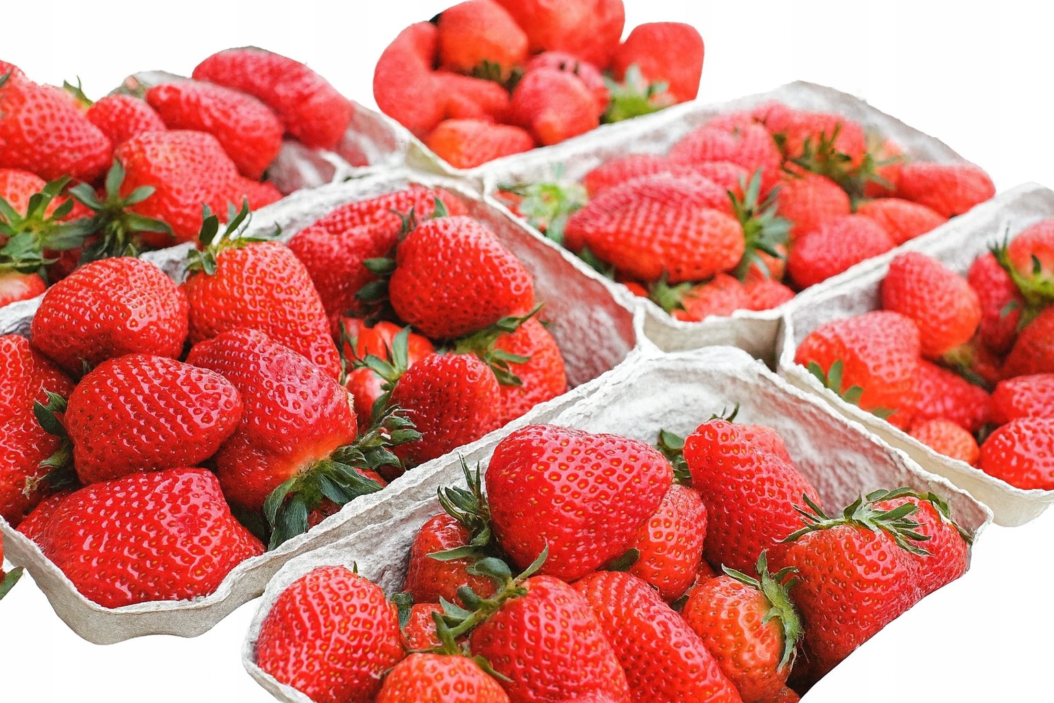 Truskawka duża premium pełna witamin mrożona do deserów 10 kg Suchy lód