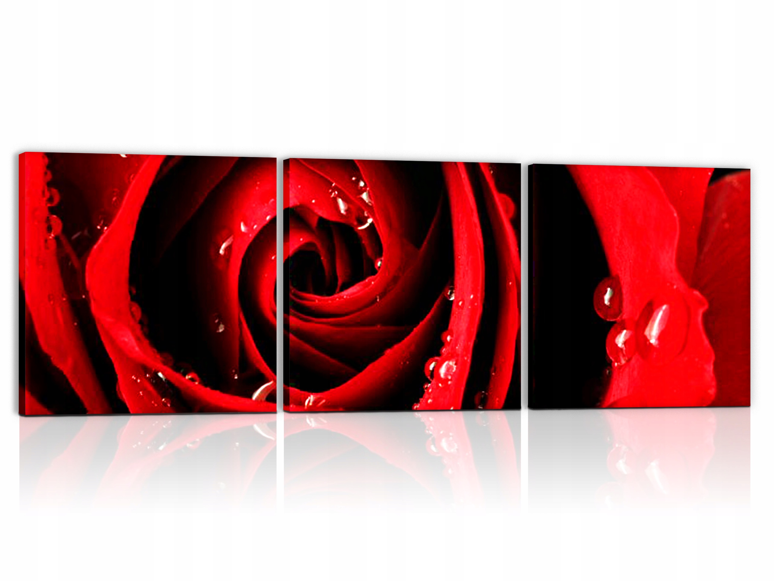 

obraz 120x40cm Tryptyk Kwiaty Róża obrazy