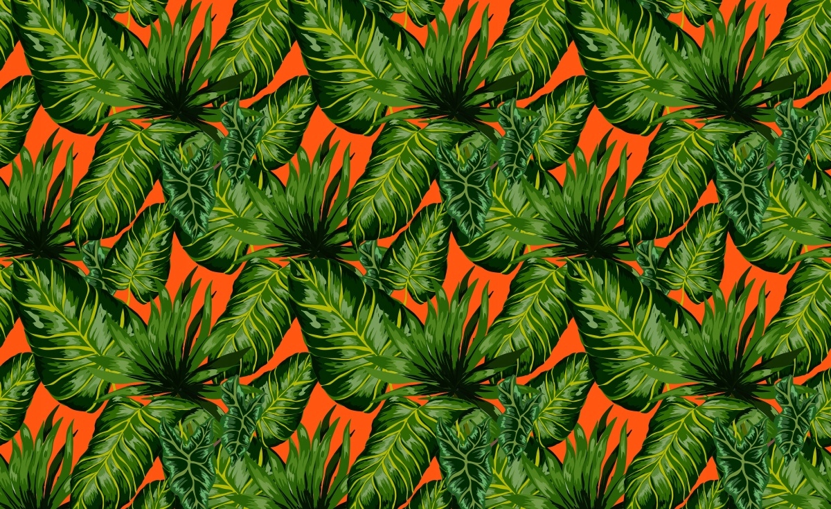 

Tapeta Flizelinowa Tropikalne liście - 416x254