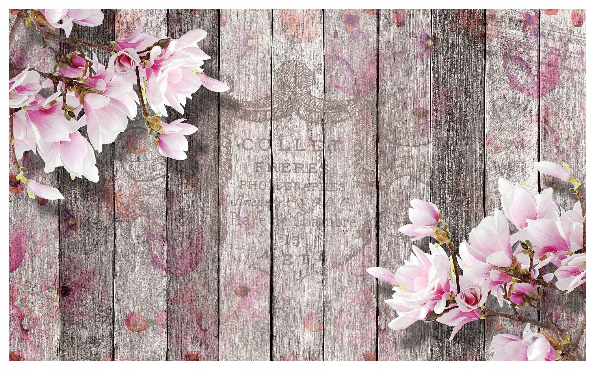 Tapeta Magnólia ružová elegancia 416x254 jarný akcent do interiéru lepidlo