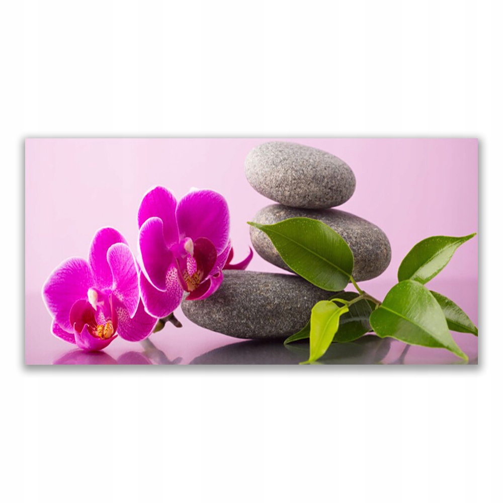 

Obraz na prezent 140x70 Kwiat Orchidea Zen Roślina
