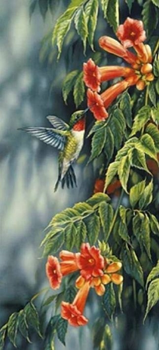 Diamantová Výšivka Diamond Painting Mozaika Krásný Kolibřík 55x115 cm 5D sada