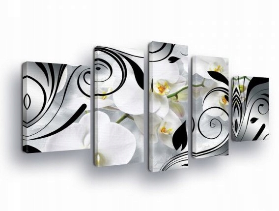 Obraz 170x100 Orchidey kvety čierno-biele moderný, elegantný, jemný