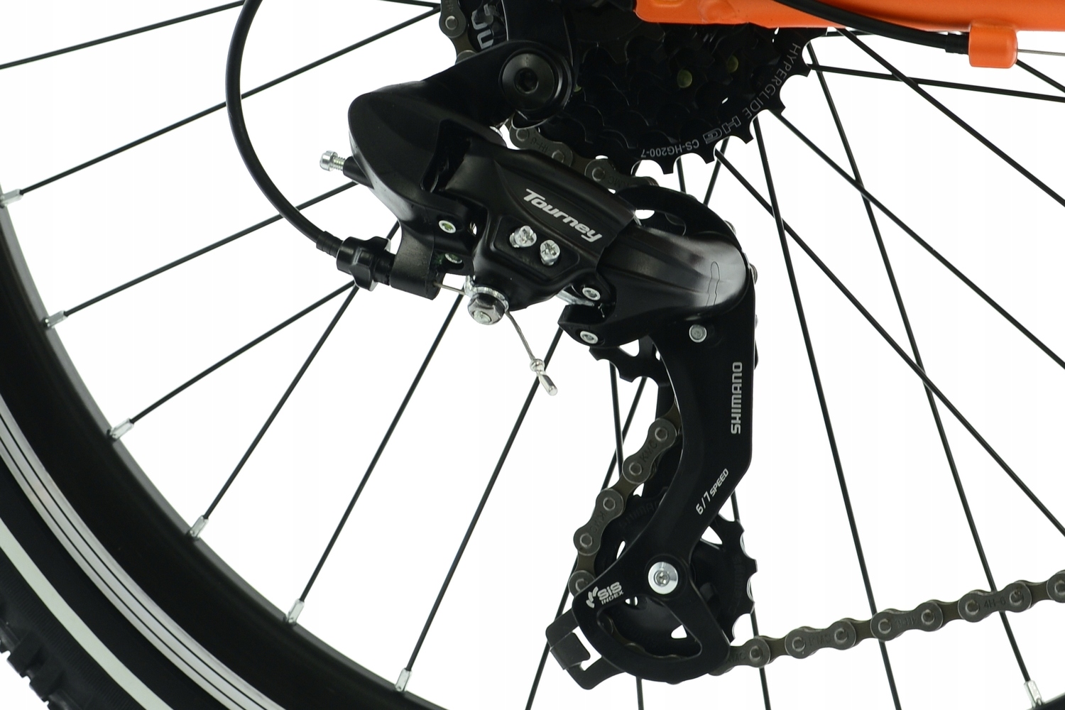 Rower Kands 24 Dragon r13