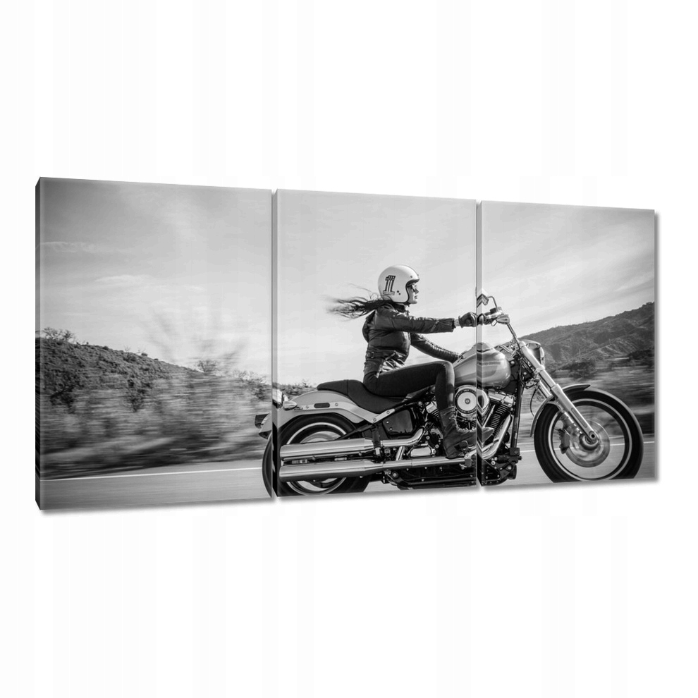 

Obrazy 120x60 Harley Davidson Motocykl