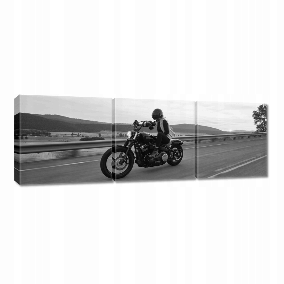 

Obrazy 60x20 Harley Davidson Motocykl