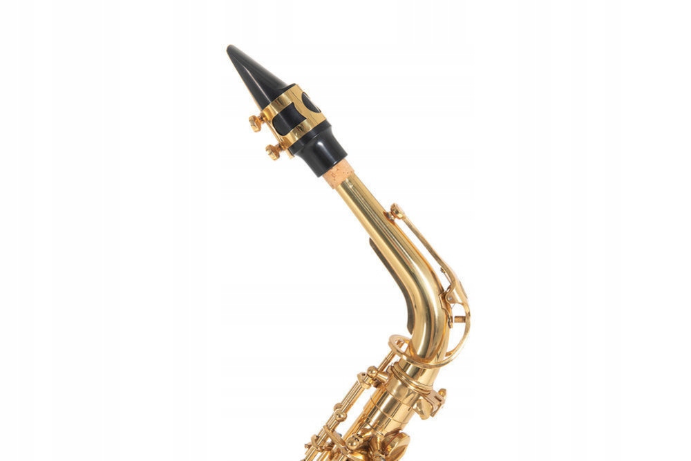 Saksofon altowy Eb ROY BENSON AS-202 Kod producenta 4046663024904