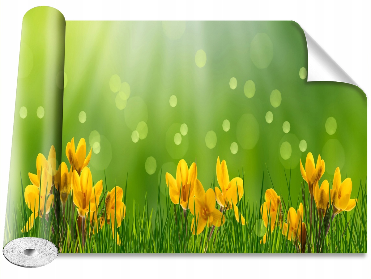 

Tapeta Samoprzylepna Krokusy Wielkanoc 104x70