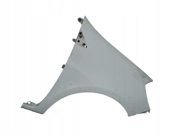 RENAULT CLIO III 3 05-09 BŁOTNIK PRAWY PRZÓD LAK:0V369 (185)