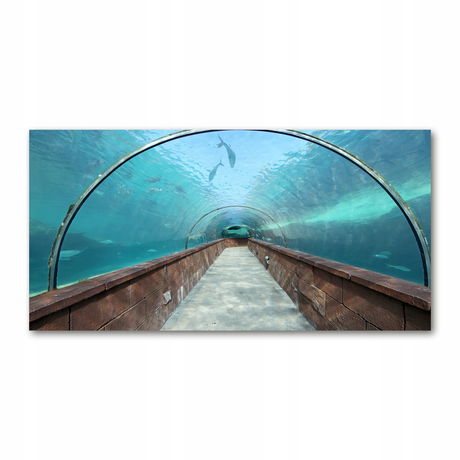 

Foto-obraz akryl Tunel akwarium zdjęcie 140x70 cm