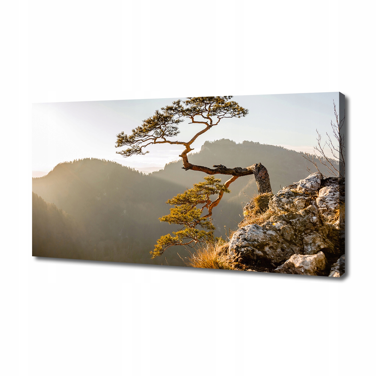 

Foto obraz na płótnie Sokolica Pieniny 140x70 cm