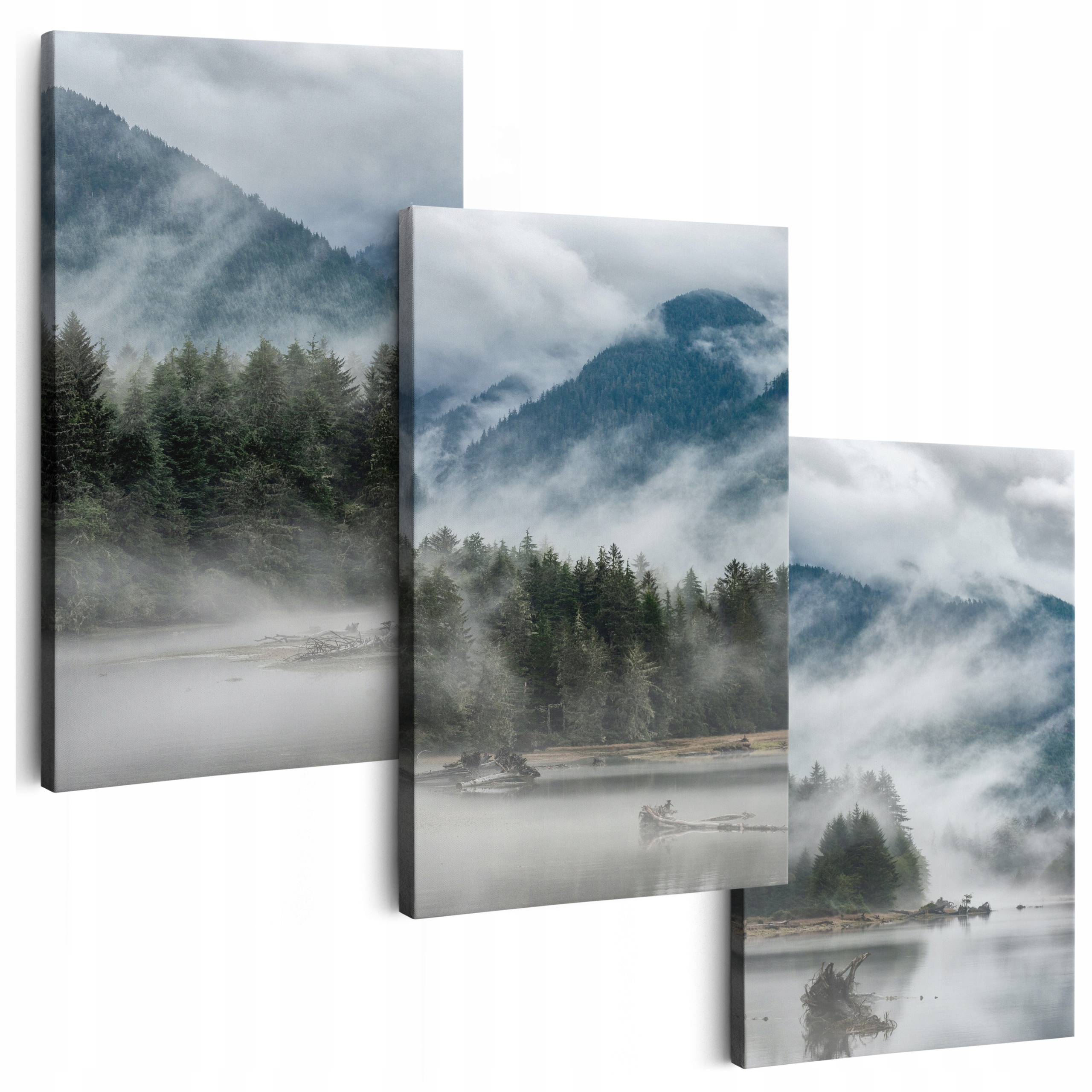 Obraz Na Plátne 150 cm **veľa vzorov** Obrazy Do Obývačky Na Stenu Hmla