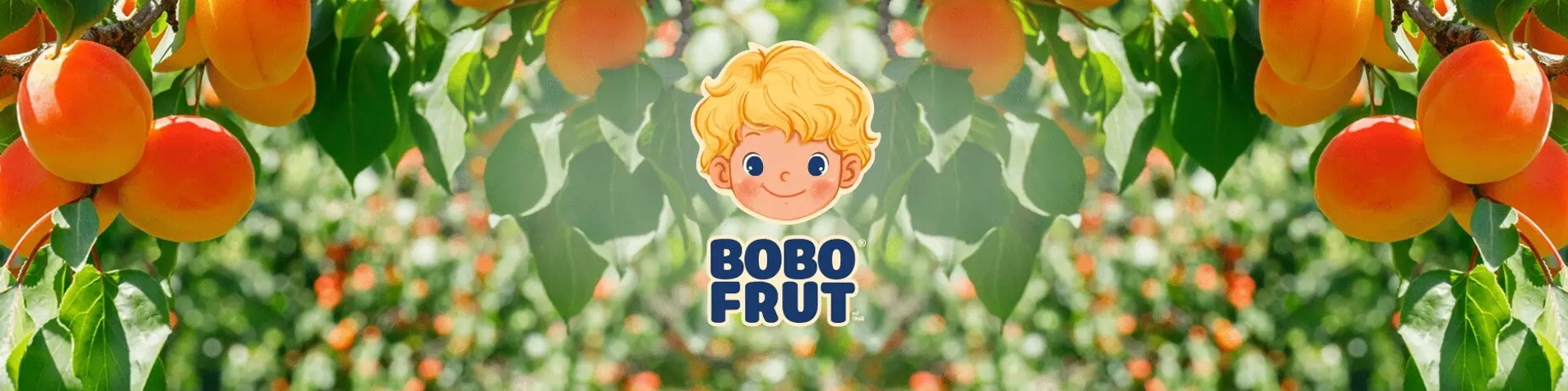 BOBO FRUT NEKTAR OWOCOWO WARZYWNY JABŁKO MARCHEW 300 ML Marka Bobo Frut