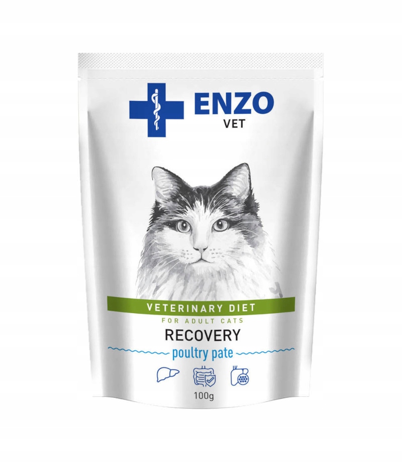 Levně 10X Enzo Vet Recovery pro kočky 100 g