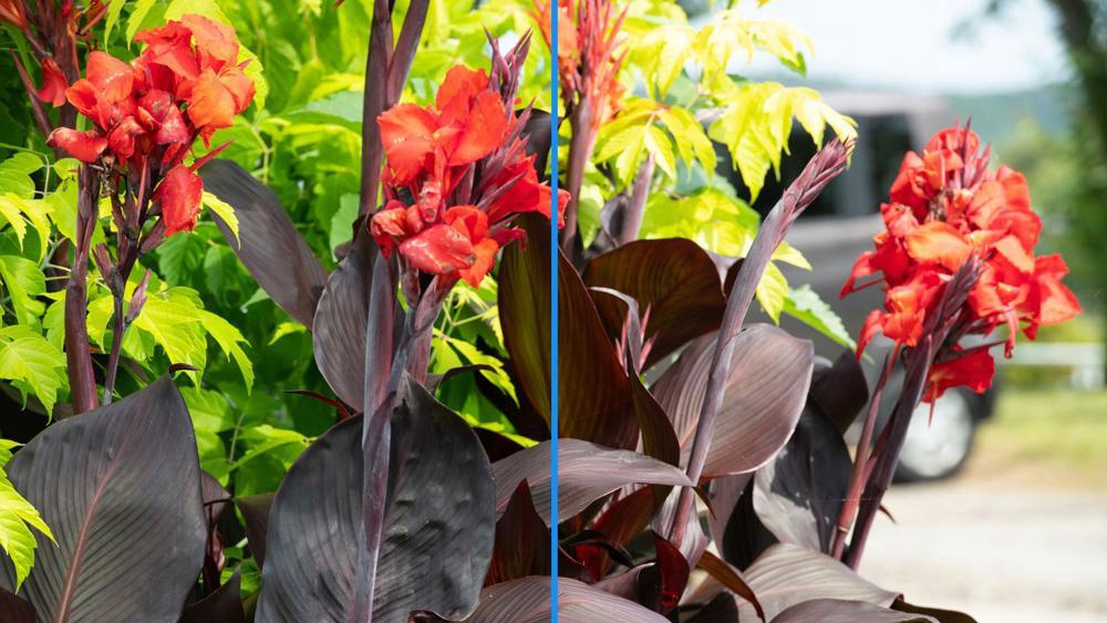 FILTR HOYA 77MM CIRPL HD POLARYZACYJNY ANTYREFLEKS Marka Hoya