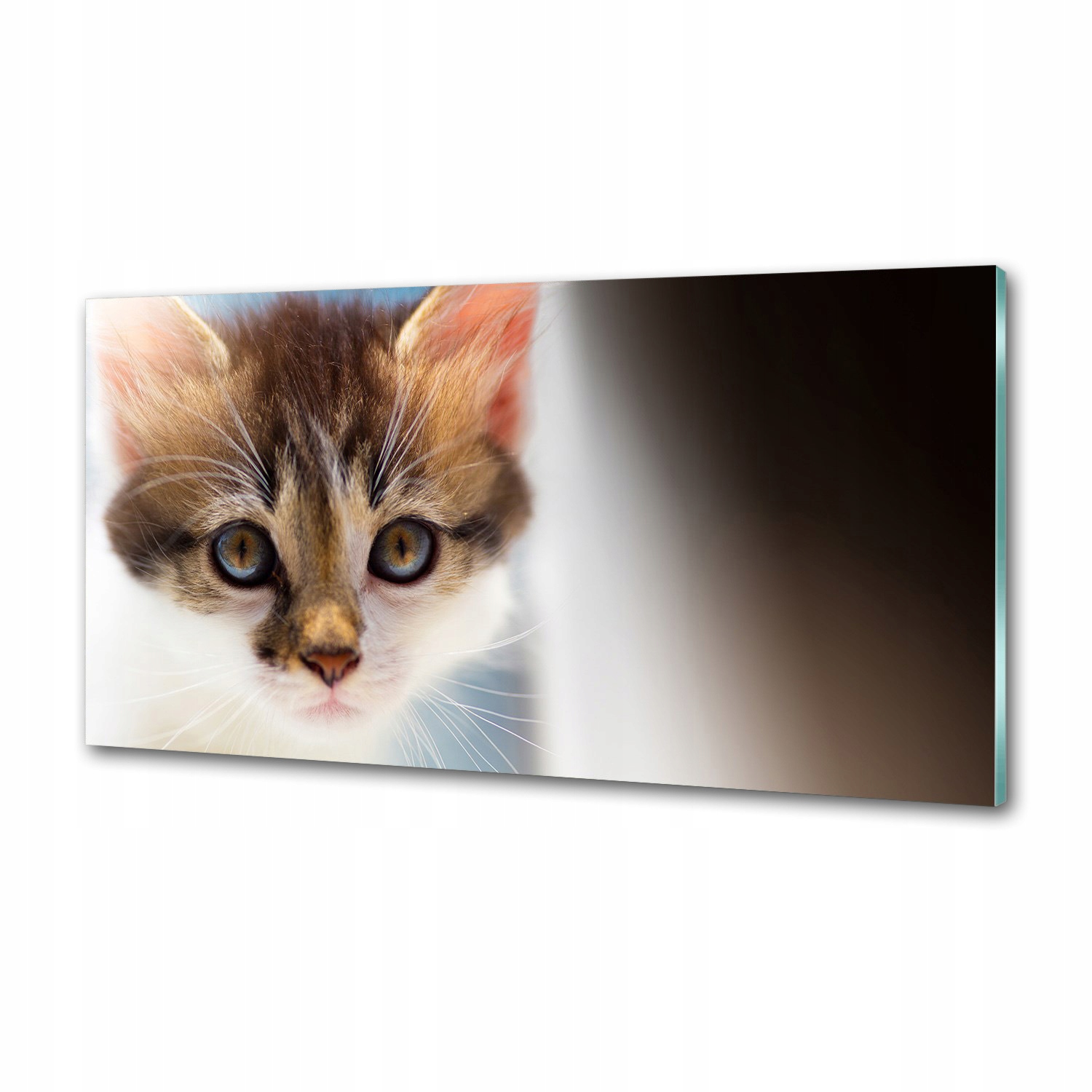 Panel medzi nábytkom v kuchyni Malá mačka 120x60 Lepidlo