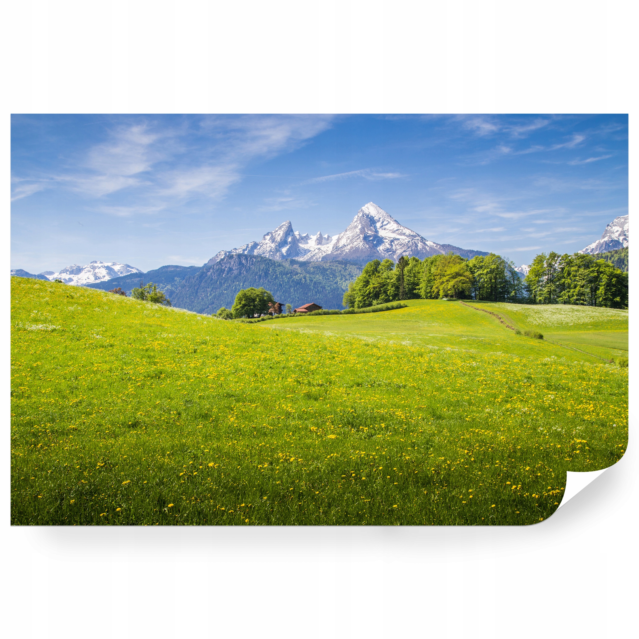 Fototapeta samolepicí Alpské Louky A Vrcholky Ve Sněhu 520 x 318 cm
