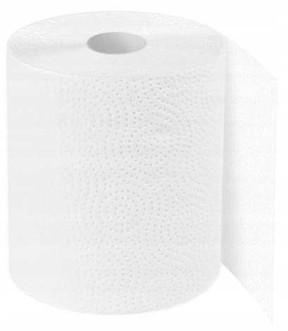 Ręcznik Kuchenny SŁONIK JUMBO 300 listków 2warstw EAN (GTIN) 5906142907328