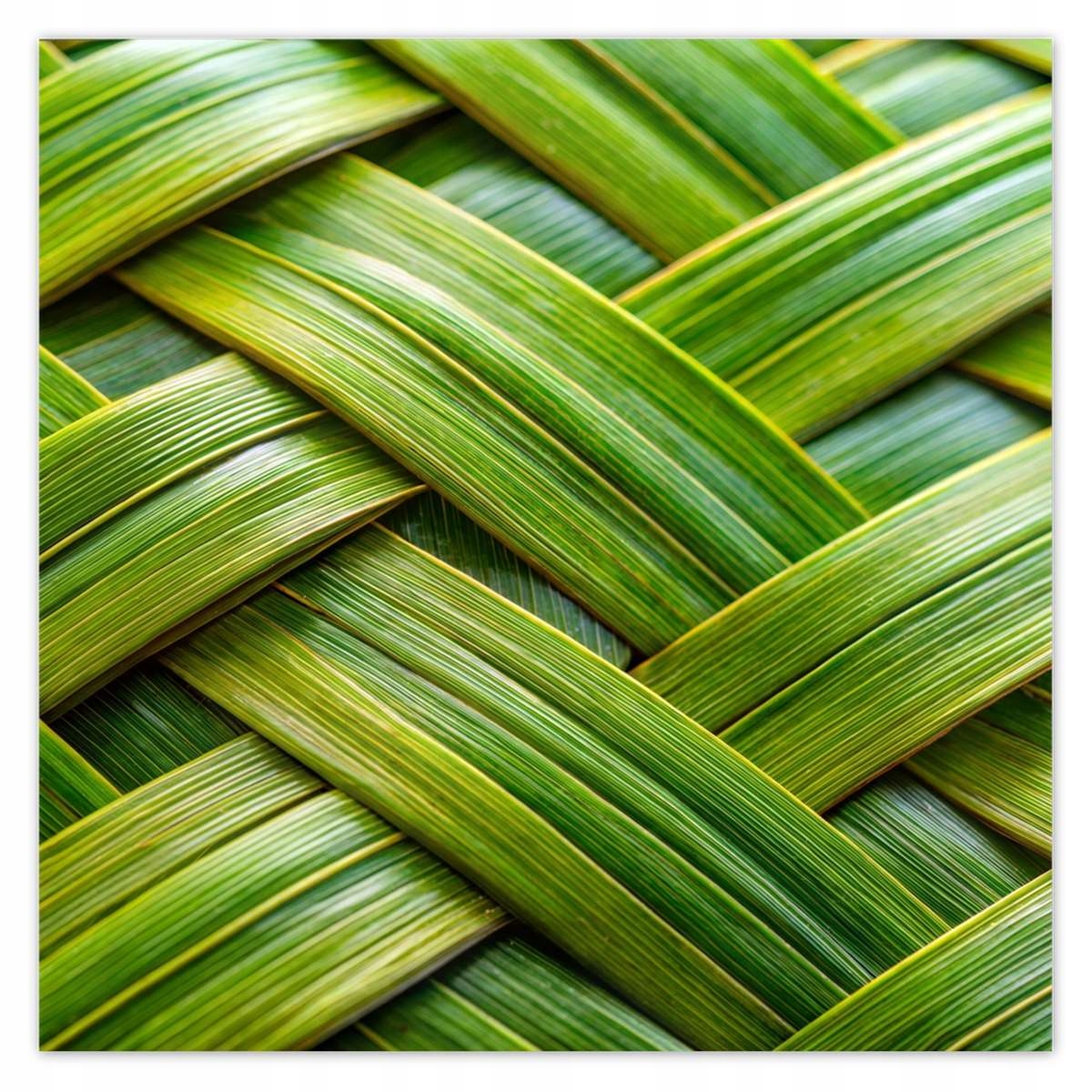 Fototapety 208x208 Zelená pletená Zelený ratan Pletená doska