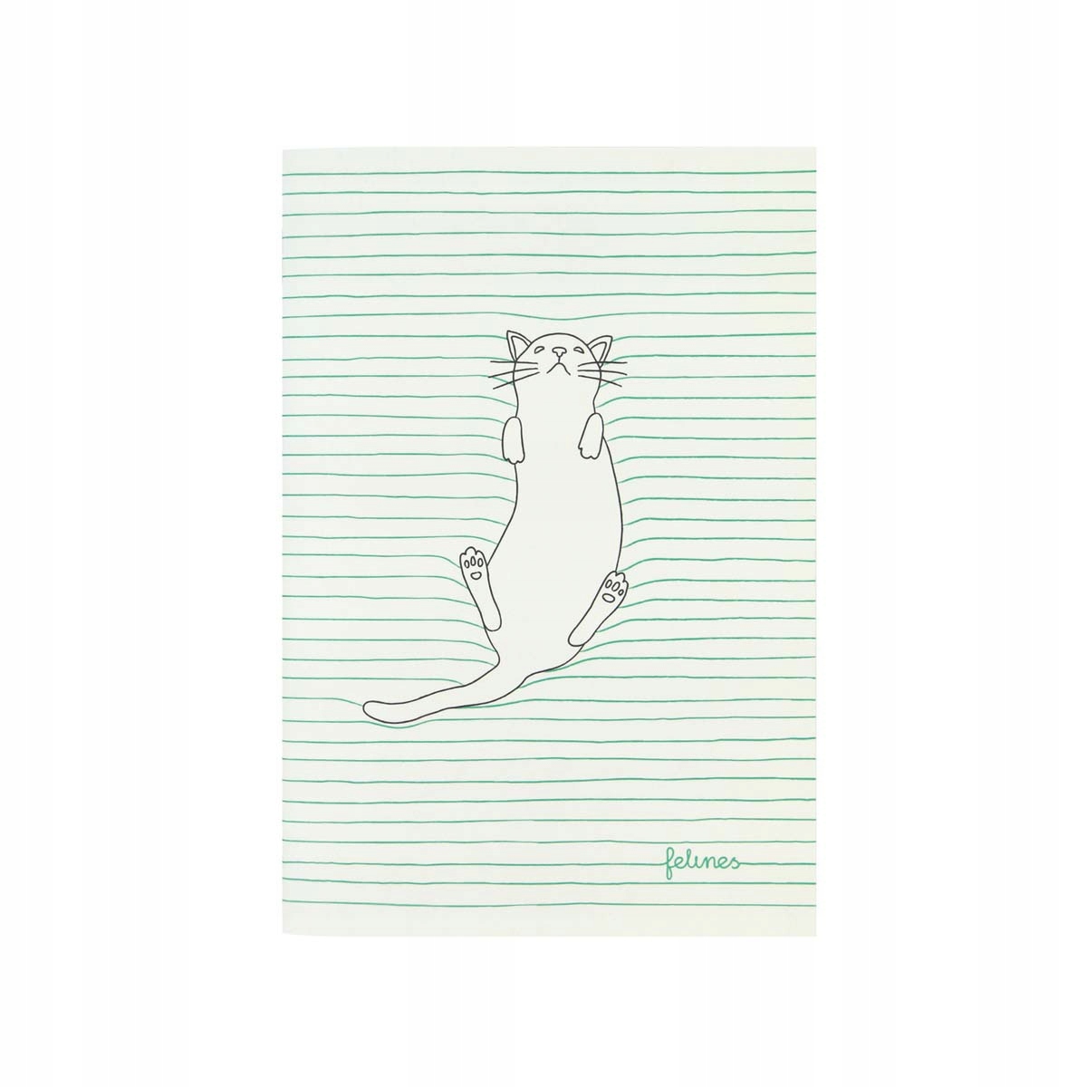 Mały zeszyt - koty - feline fine (green)