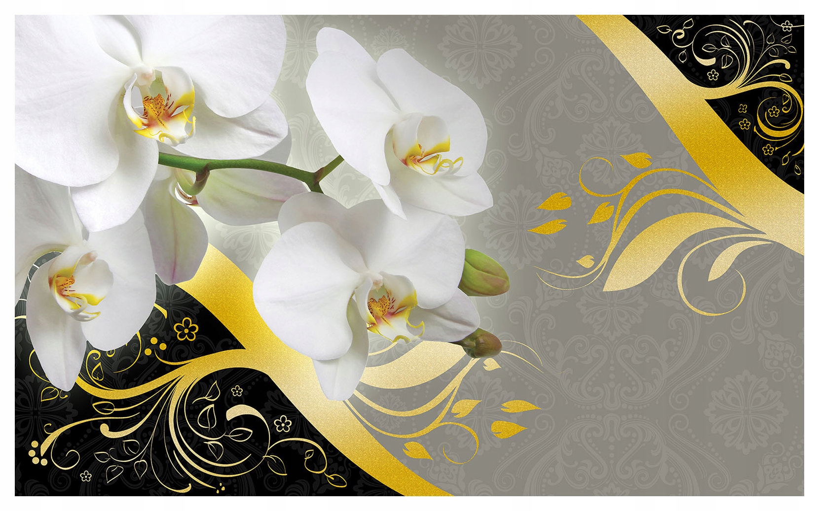 Fototapeta Orchidey zlato-biele 254x184 vinylová elegancia na stenu lepidlo
