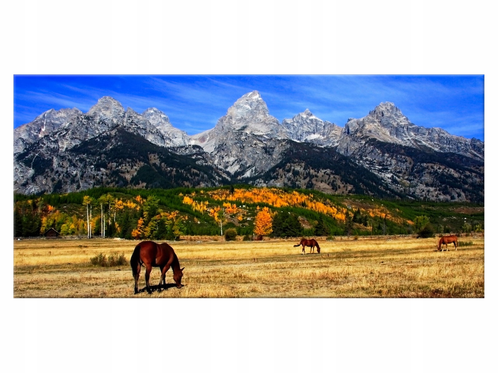 

Obraz Grand Teton - fortherock 115x55 1670A_1AE