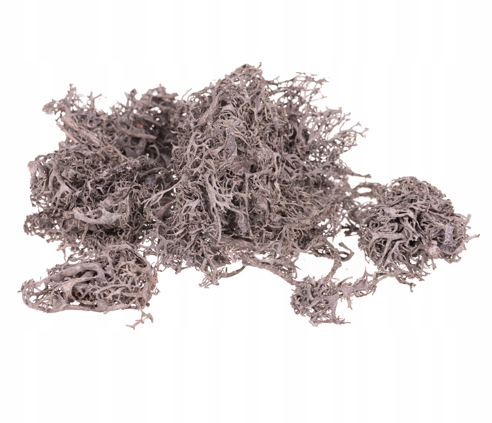 

Mech Grey moss pobielony 50g