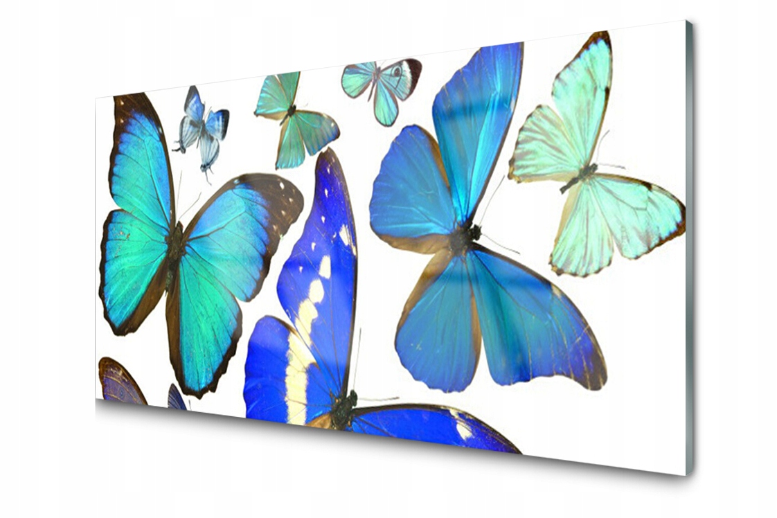 

Panel szklany dekoracyjny Motyle Owady 100x50