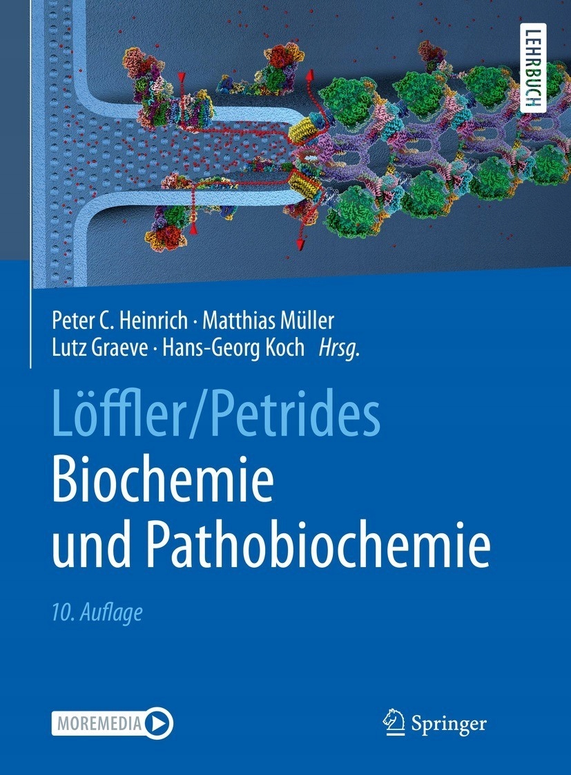 Loffler/Petrides Biochemie und Pathobiochemie (13009327100) | Ebook Allegro