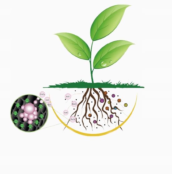 Bacillus VIP Bakterie tlenowe do ogrodu 500 ml Producent Agrobios