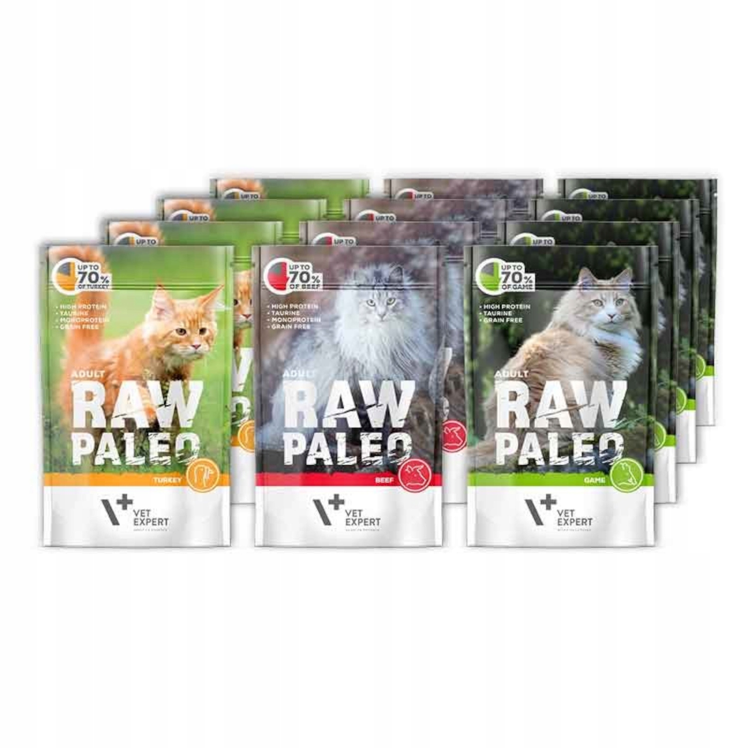 Raw Paleo Cat Mix smaków 12x100g bezzbożowa Pakiet mieszany