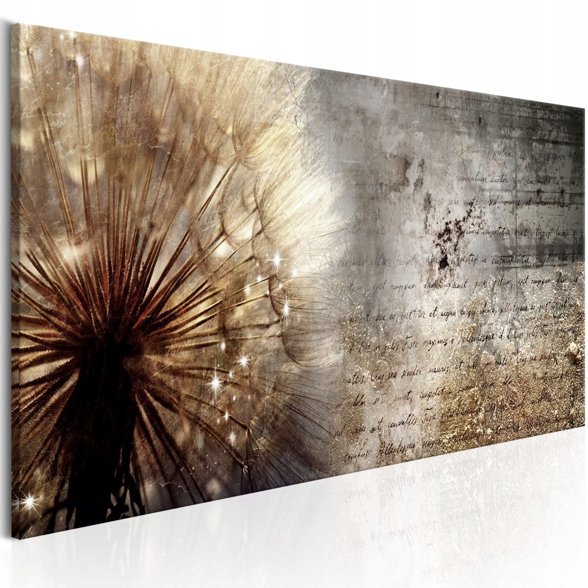 

Obraz - Dmuchawiec na betonie - 120X40