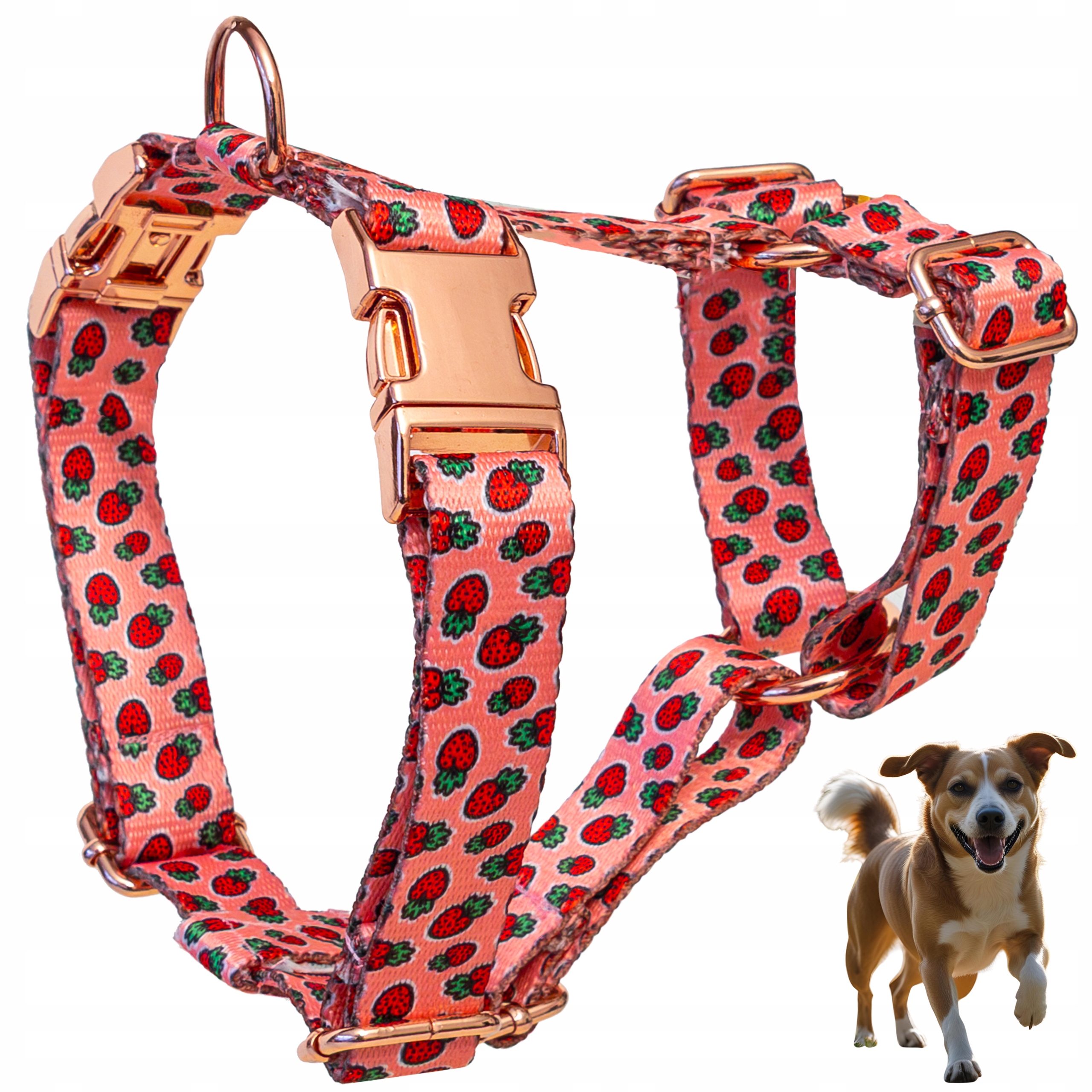 Postroj pro psa typu guard, netlačí, silný, nastavitelný Jahody, velikost XL