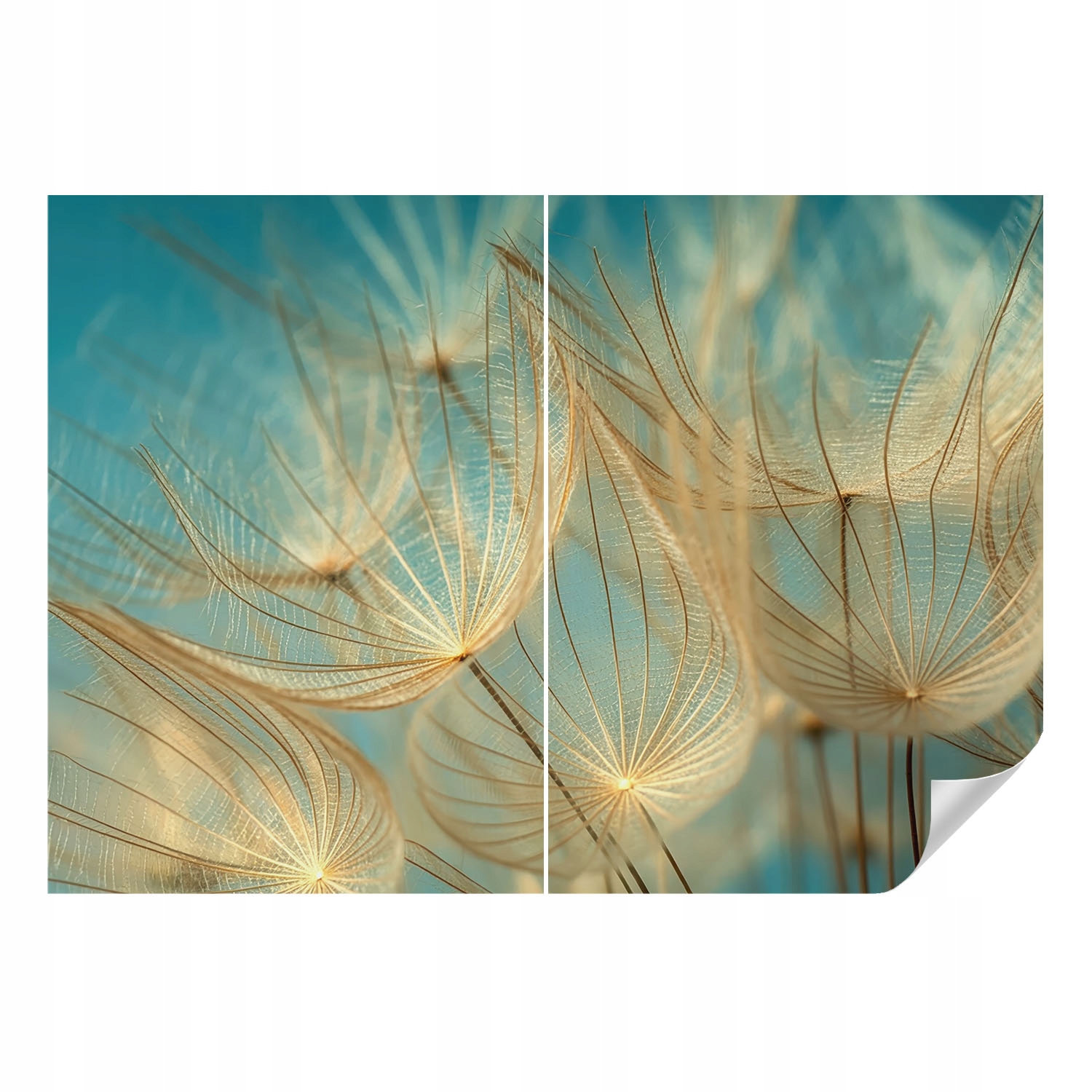 Samolepicí Omyvatelná nástěnná fototapeta Éterické foukače 208 x 146 cm