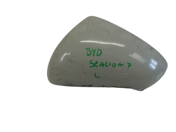 scatola specchietto retrovisore sinistra BYD SEALION 7