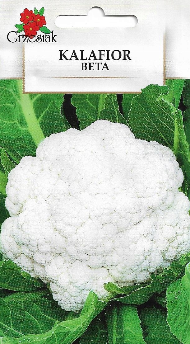 Kalafior BETA nasiona