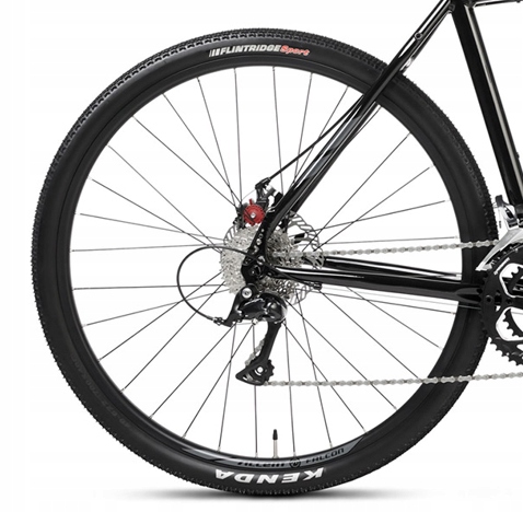 Accent Falcon czarny 2024 + eBon 100 zł Model Falcon