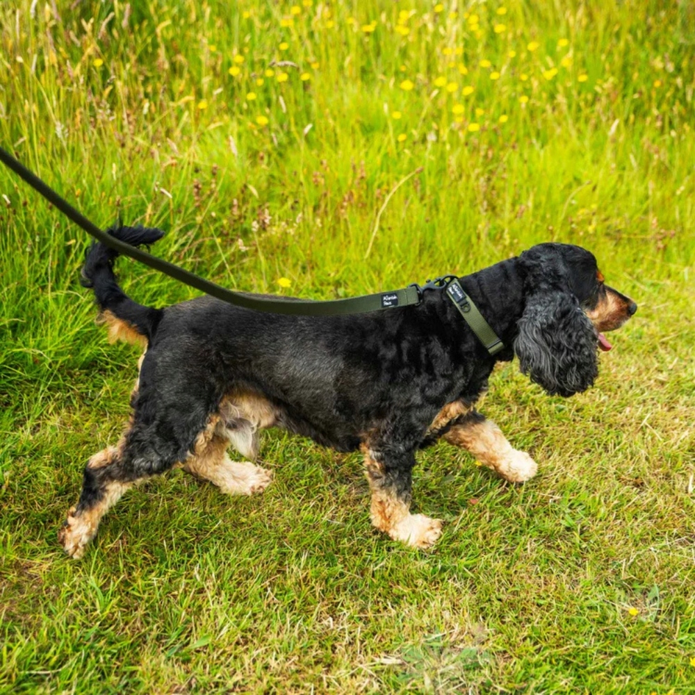 Levně Velmi odolný obojek pro psa Mountain Paws olive S