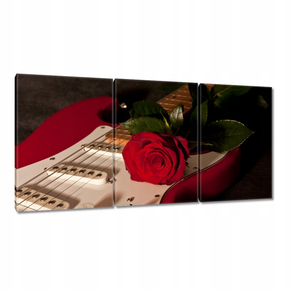 

Obrazy 120x60 Czerwone wiosło Gitara