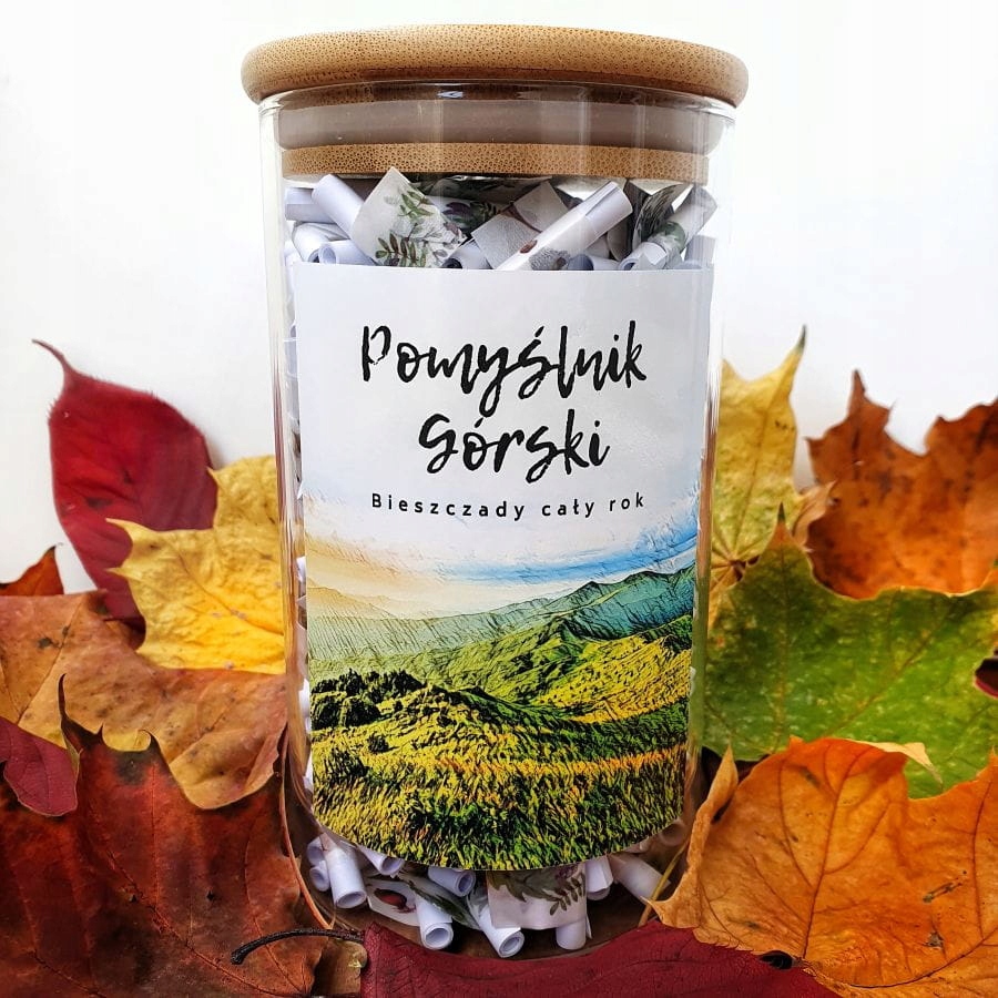 POMYŚLNIK GÓRSKI BIESZCZADY CAŁY ROK 365 MYŚLI Model Bieszczady