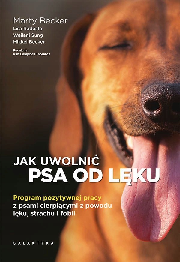 

Jak uwolnić psa od lęku